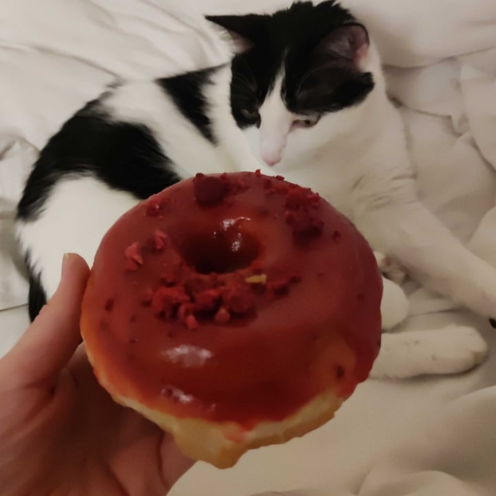 photo of La Donuteria Praha Spalena Ciambella fragole shared by @felika on  26 Apr 2025 - review