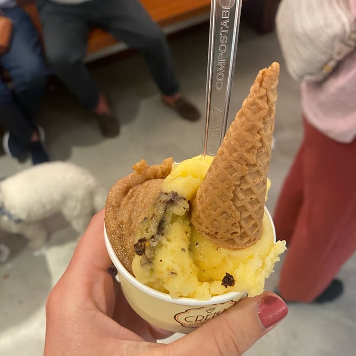photo of CREMA Alta Gelateria Gelato Arancia e cioccolato shared by @veggieginny on  02 Jun 2025 - review