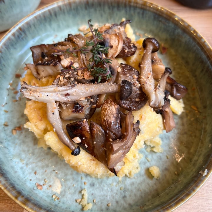 photo of Grignote Polenta et Champignons shared by @mam64 on  11 Feb 2025 - review