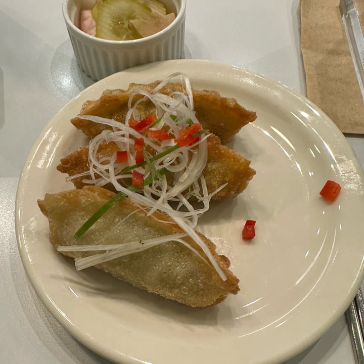 photo of Plantude gyoza shared by @grumpycat on  07 Oct 2025 - review