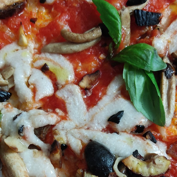 photo of Pizzium - Firenze Margherita vegana con funghi e castagne shared by @hypatia on  16 Jan 2024 - review