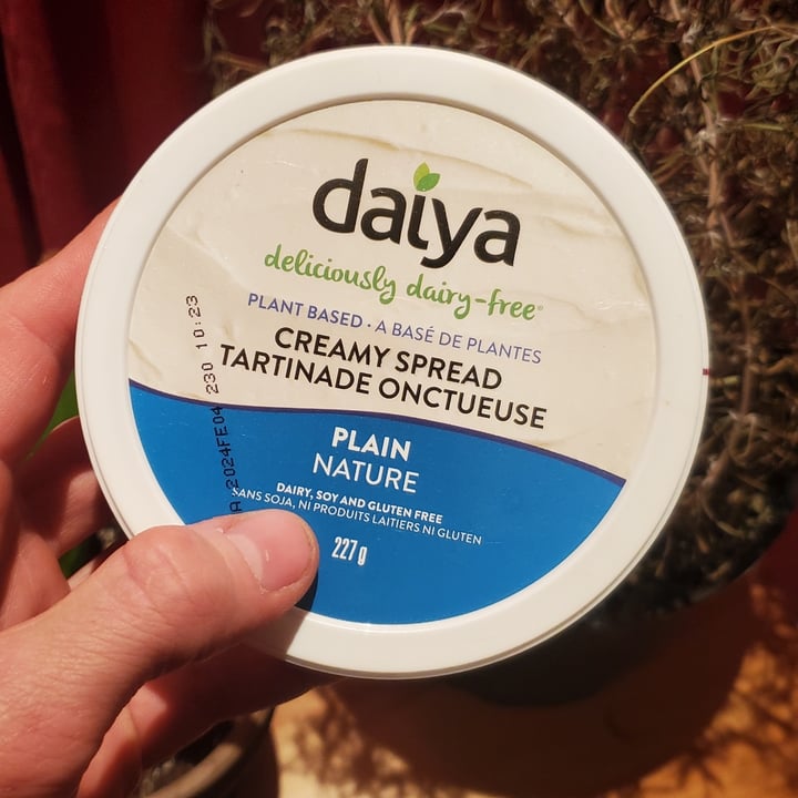 photo of Daiya creamy spread ( Plain) shared by @courage-and-a-brick on  17 Dec 2023 - review