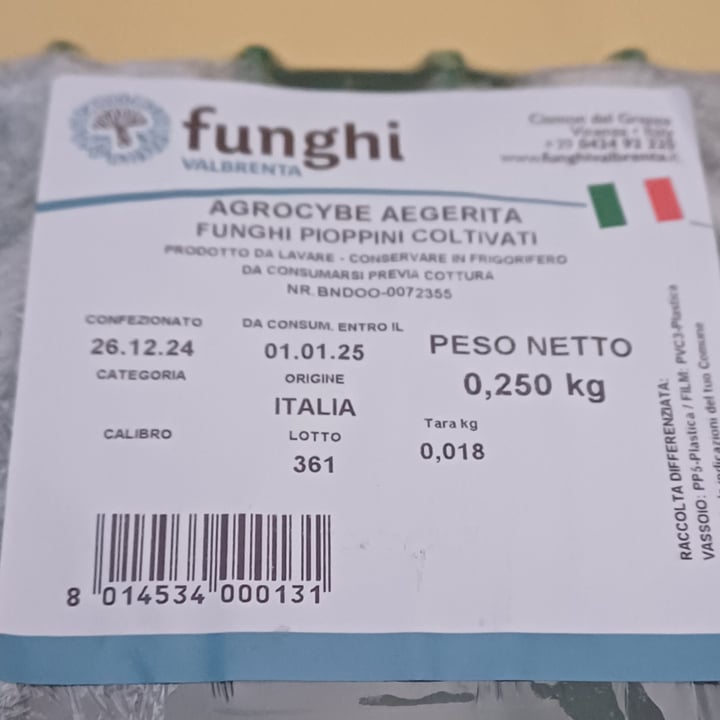 photo of Funghi valbrenta Funghi pioppino shared by @miocillo0 on  29 Dec 2024 - review