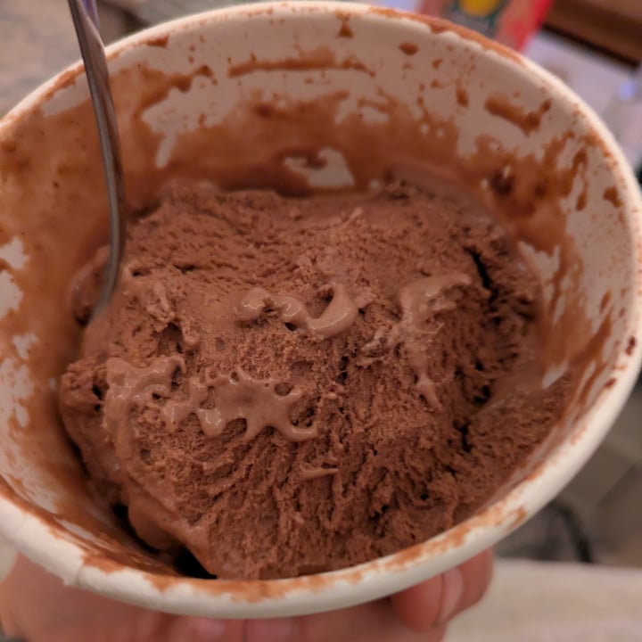 photo of So Delicious Dairy Free Chocolate Hazelnut Brownie Oatmilk Frozen Dessert shared by @izzyiris on  04 May 2025 - review