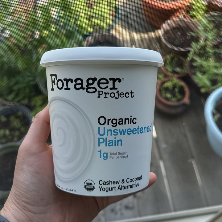 photo of Forager Project organic probiotic cashewmilk yogurt unsweetened plain shared by @regina- on  07 May 2024 - review