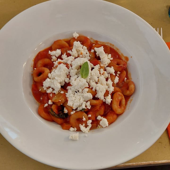 photo of Gastronomia L'Abruzzo A Tavola Anellini Alla Pecorara Vegan shared by @rosannad93 on  23 Aug 2025 - review