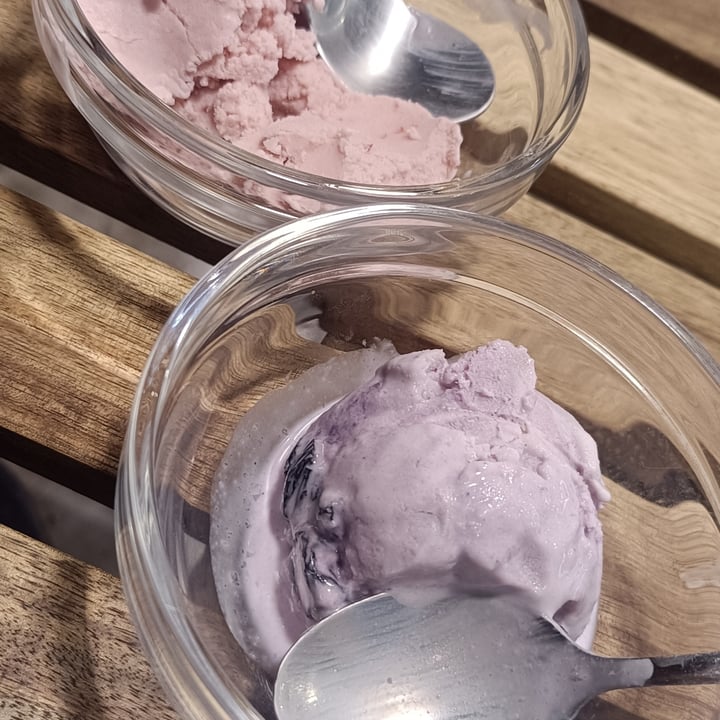 photo of Pibbles Bakery Blackcurrant ice cream shared by @shivaraman-g on  28 Dec 2024 - review