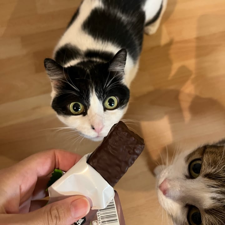photo of Farmer barrette chocolat noir shared by @pattini on  08 Oct 2025 - review