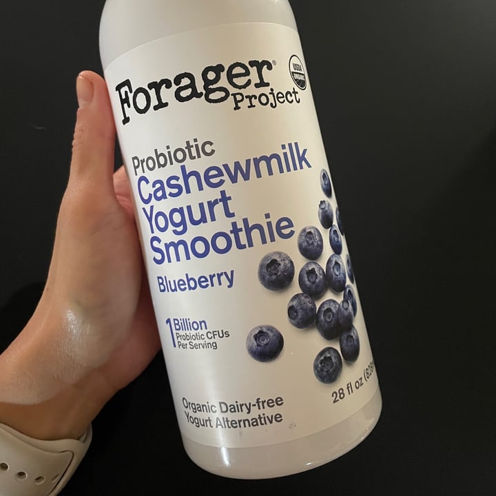 photo of Forager Project Organic Dairy-free Probiotic Cashewmilk Yogurt Blueberry shared by @thumbelinasana on  08 Sep 2023 - review