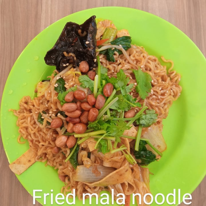 photo of 蔬方斋 SHU vegetarian - Yishun Fried Mala Noodle shared by @zarreen on  16 Apr 2024 - review
