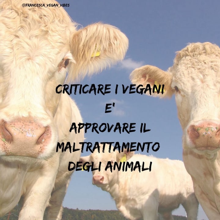 photo shared by @francescalattanzi on  21 Aug 2024 - post