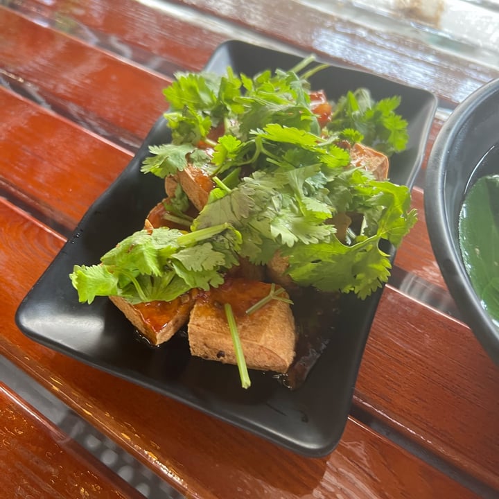 photo of Makan Vegan Geylang Thai Style Chilli Tofu shared by @crueltyfreetan on  12 Feb 2024 - review