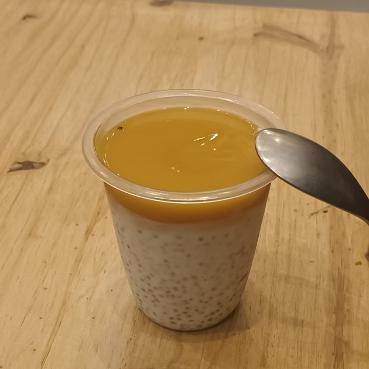 photo of Pita Pit Marseille Chia Pudding, Mango sauce shared by @bbilge on  01 Dec 2024 - review
