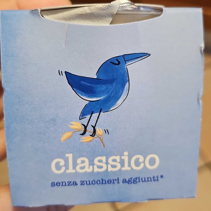 photo of Heaven Dessert Fermentato A Base Di Avena shared by @lavinia88 on  24 Jun 2024 - review