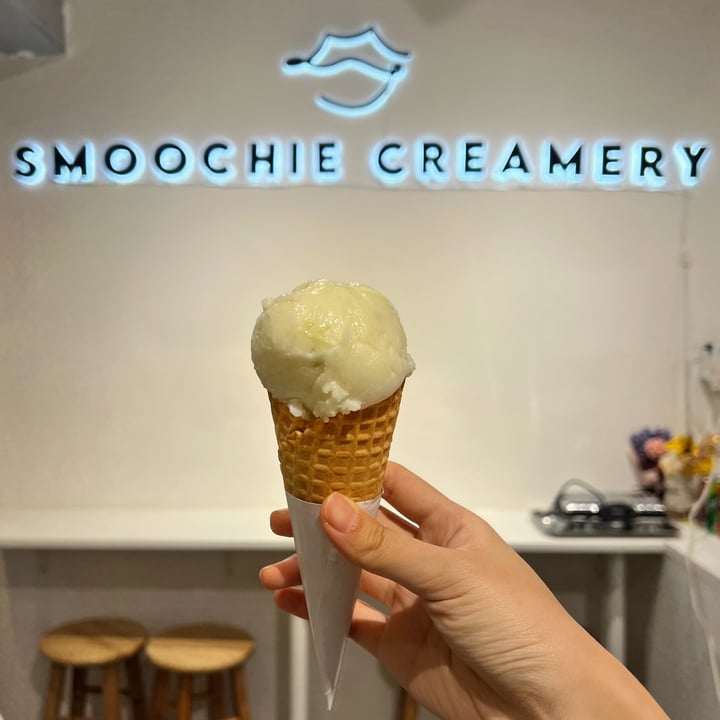 photo of Smoochie Creamery Lemon & Lime Sorbet shared by @consciouscookieee on  08 Sep 2023 - review