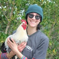 @lyssbaumgartner profile image