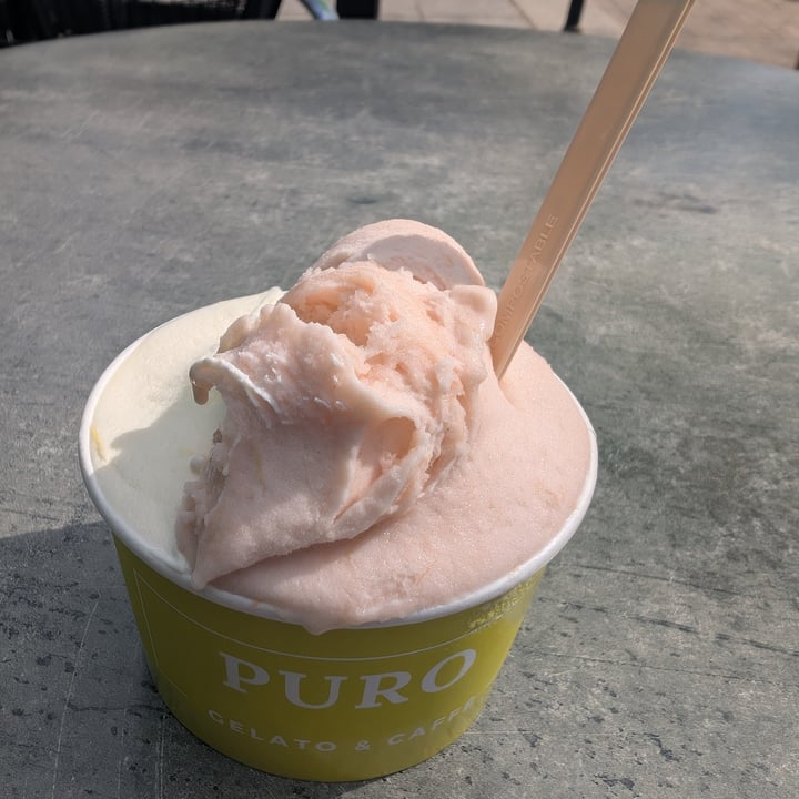 photo of PURO gelato & caffé Rabarber ijs shared by @vganbeast on  08 Apr 2025 - review