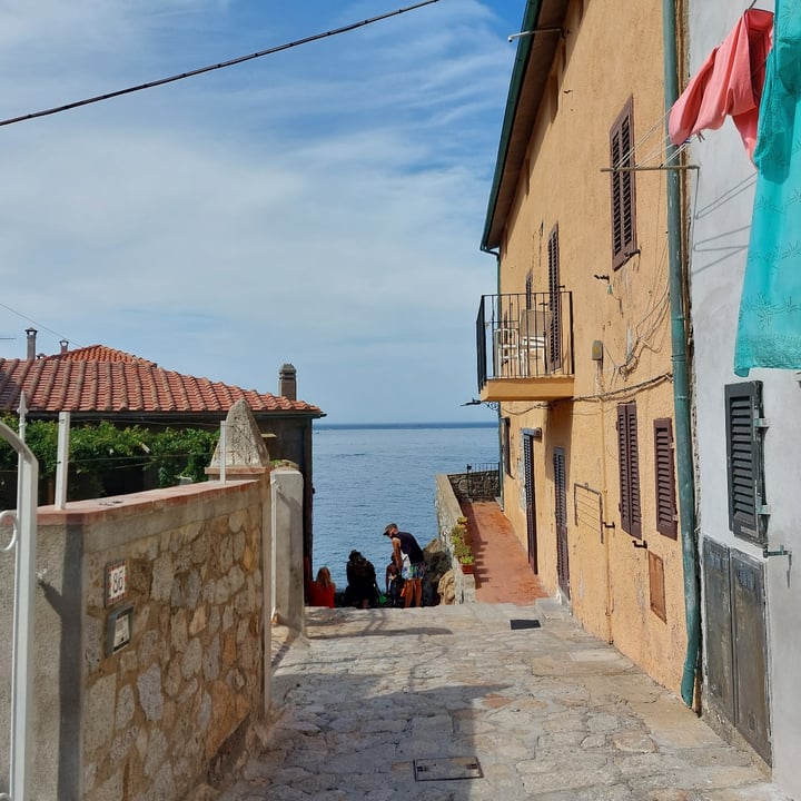 photo of Bar Solari Coppetta 2 gusti mora del Giglio e fico del Giglio shared by @cloudyaquilegia on  17 Aug 2025 - review