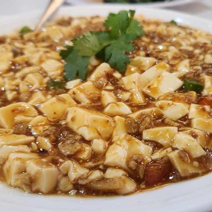 photo of Zhenyi Veggie Place Mapo tofu shared by @vege4eva on  31 May 2025 - review