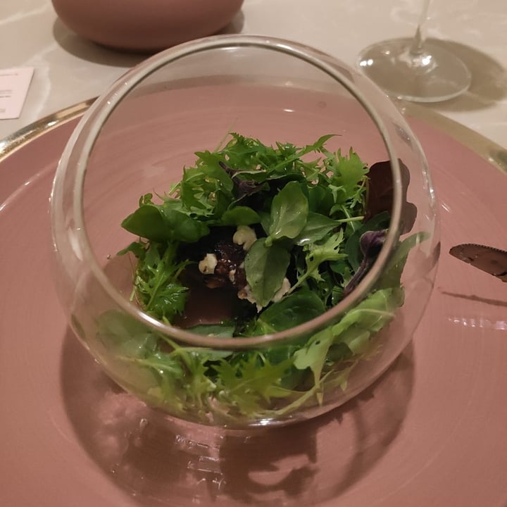 photo of Linfa Milano - Eat Different Terrario shared by @magnoliabianca on  24 Jan 2025 - review