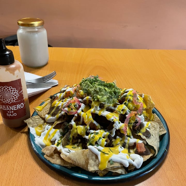 photo of Dalia Plant Power . Mex Special vegan nachos with seitan shared by @bebo9929 on  12 Apr 2024 - review