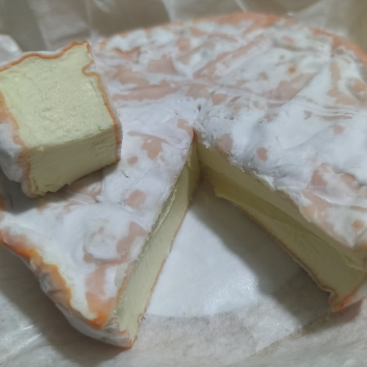 photo of IO VEG capriccio shared by @bruinichiara on  16 Jan 2025 - review