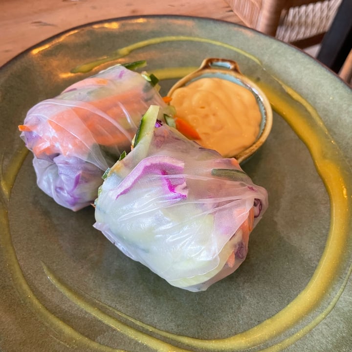 photo of The Conscious Kitchen Vietnamese Summer Rolls shared by @belovedseagull46 on  05 Jul 2024 - review