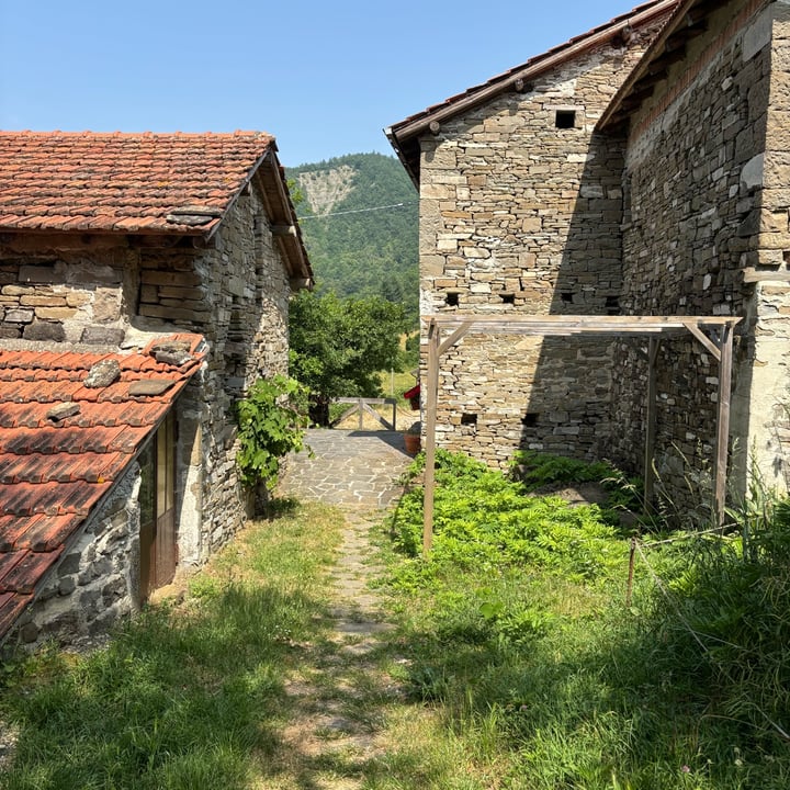 photo of Farm Vegan The Village Of Tara Insalatina di funghi e rucola shared by @perlemammemucche on  15 Jul 2025 - review