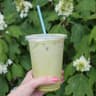 Dada Matcha Bar