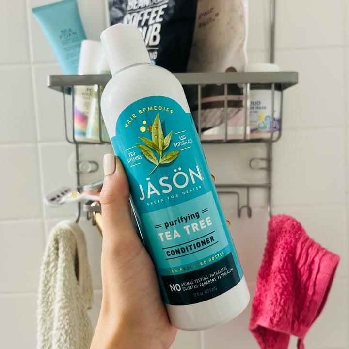 photo of Jāsön Purifying Tea Tree Conditioner shared by @alexanicole on  16 Sep 2025 - review