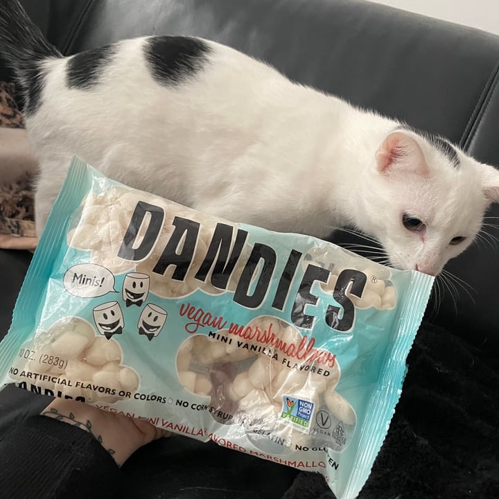 photo of Dandies Dandies All Natural Mini Vanilla Marshmallows shared by @trixi on  11 Oct 2023 - review