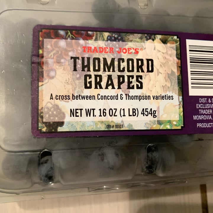 photo of Trader Joe's Thomcord Grapes shared by @rochi09 on  29 Aug 2025 - review