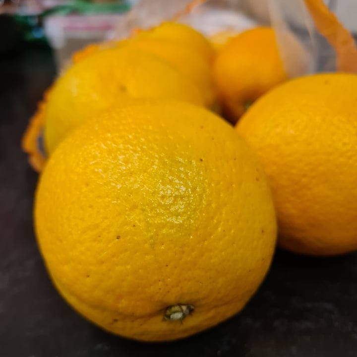 photo of Woolworths Food Oranges shared by @veronicagroen on  24 Sep 2024 - review