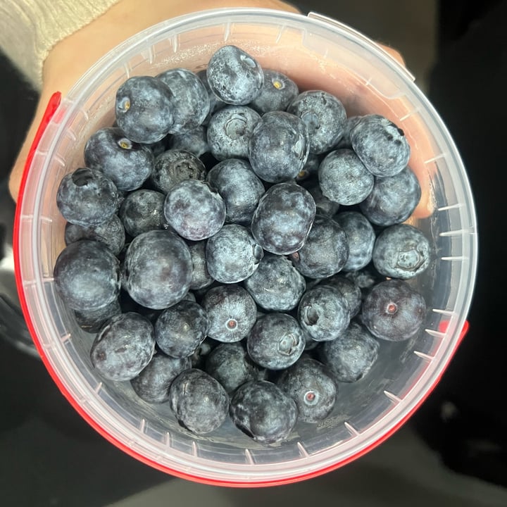 photo of southern sun Bluberries shared by @lauradeluca on  17 Dec 2024 - review