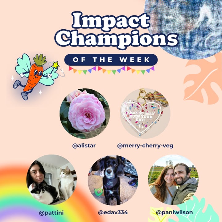 photo shared by @abillion on  13 Jun 2024 - post