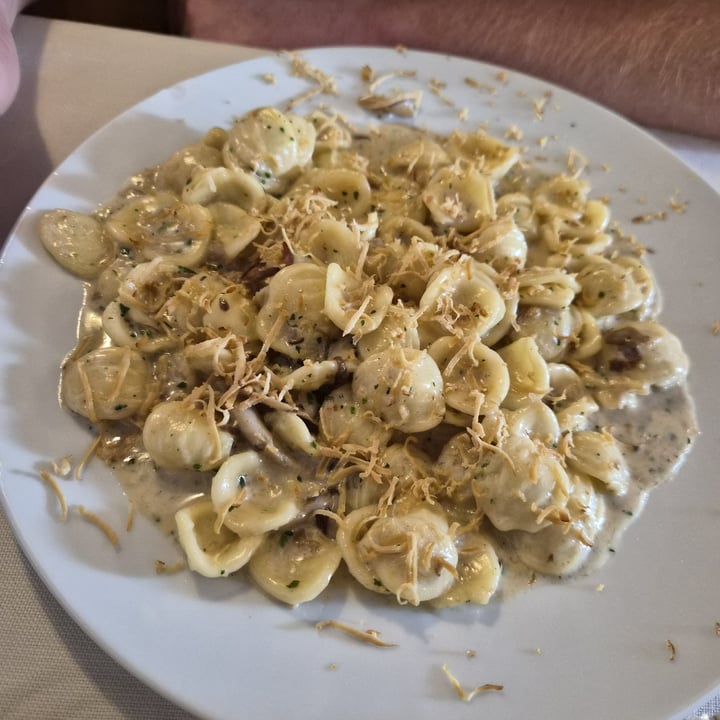 photo of Locanda Zanella orecchiette ai funghi e seitan affumicato shared by @dargina90 on  28 Sep 2025 - review