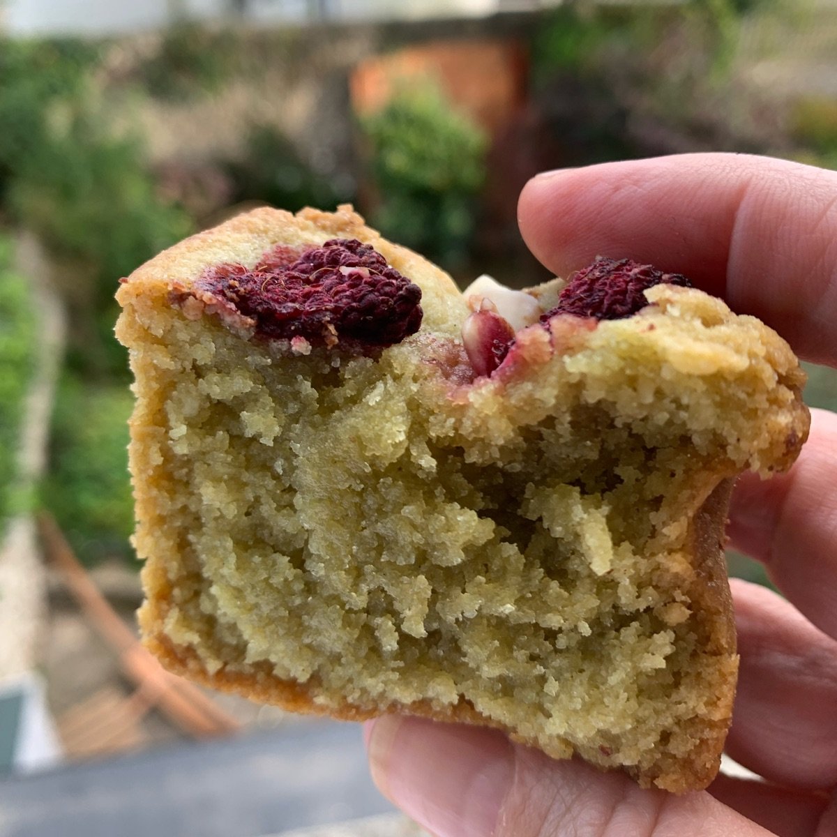 almond raspberry & pistacchio friand at T @ The Dials, East Sussex ...