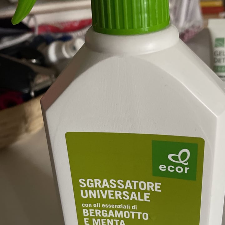 photo of Ecor sgrassatore universale con oli essenziali bergamottoe menta shared by @armjos on  27 Feb 2024 - review