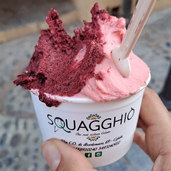 photo of Squagghio gelato gelsi e fragola shared by @vegantizi on  25 Mar 2024 - review