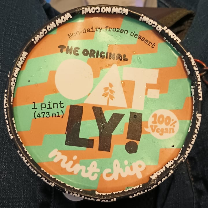 photo of Oatly Mint Chip Non-dairy Frozen Dessert shared by @quadantics on  03 Feb 2024 - review