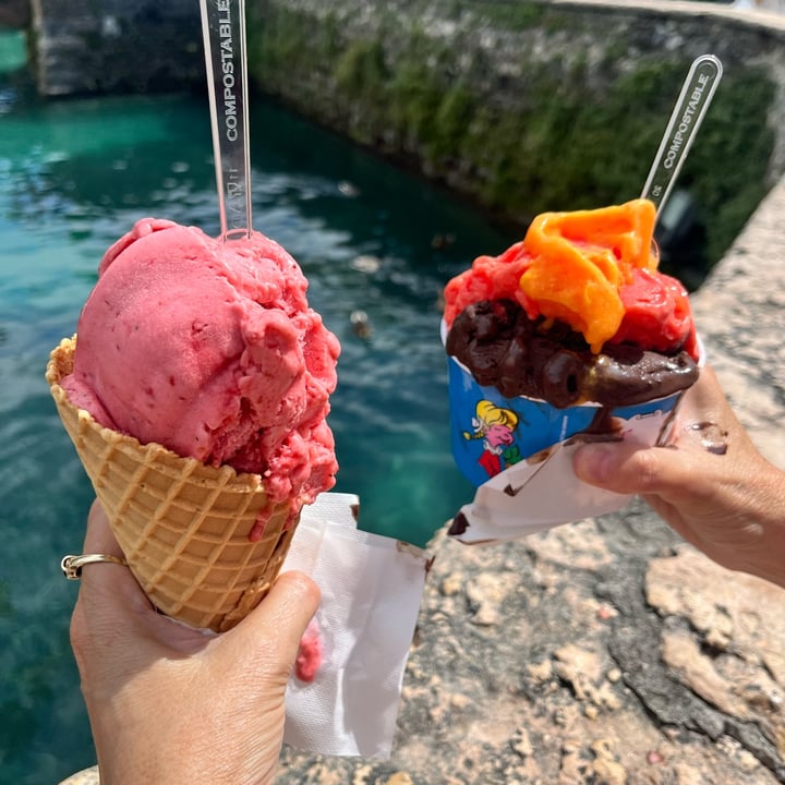 photo of Gelateria Artigianale dal 1988. Famiglia Peschiera. Chocolate Ice Cream and Sorbets shared by @madeline39 on  10 Jul 2024 - review