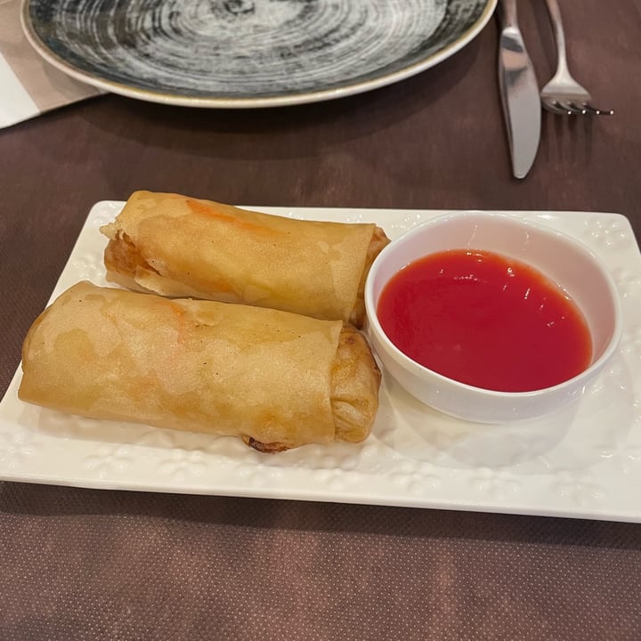 photo of Ristorante Cinese Delizie 小食堂 Rollito Primavera shared by @alondrask on  02 Jun 2024 - review