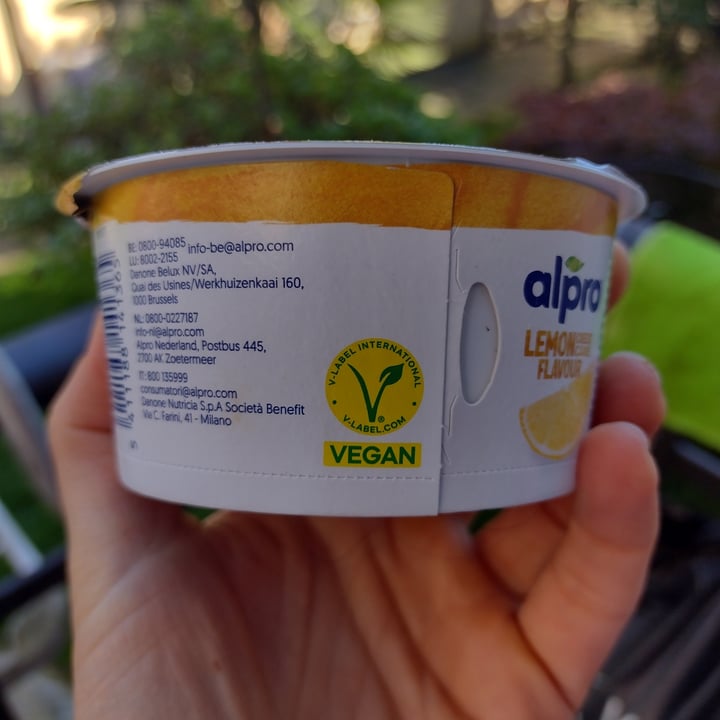 photo of Alpro Lemon Cheesecake Flavour Yoghurt shared by @dratini on  16 Nov 2024 - review