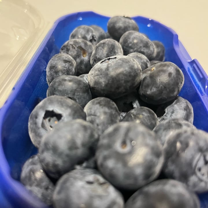 photo of Fresh Corindi Super Jumbo Blueberries shared by @soy-orbison on  04 Dec 2023 - review