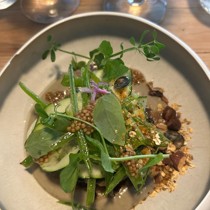 photo of V&G gastronomie Miso eggplant glaze shared by @janke66 on  13 Sep 2025 - review