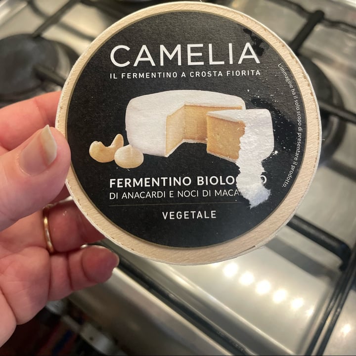 photo of Camelia Fermentino a crosta fiorita shared by @estella0571 on  15 Apr 2024 - review