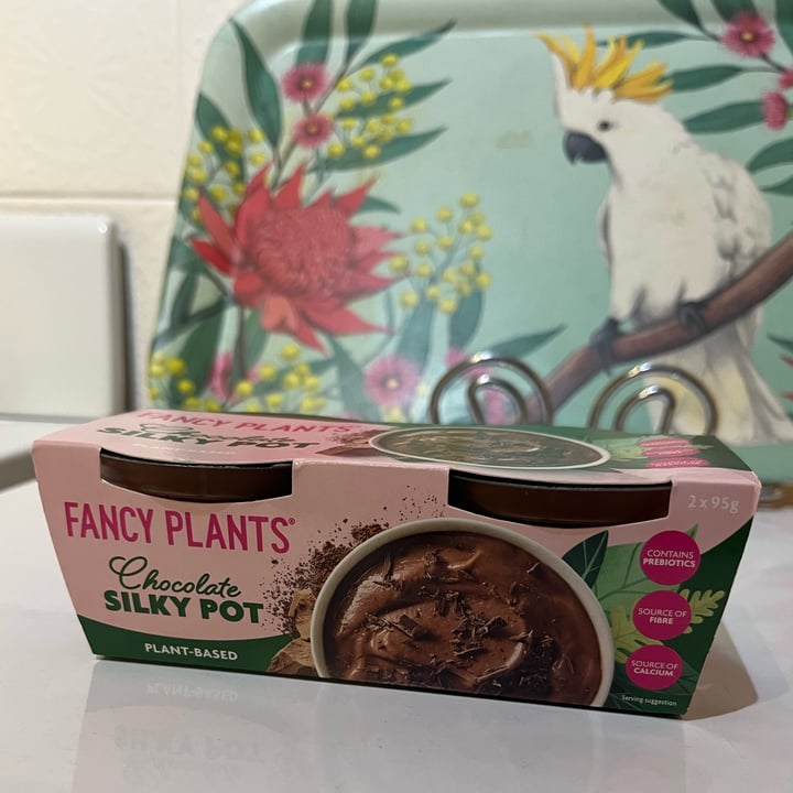 photo of Fancy Plants Chocolate Silky Pot shared by @soy-orbison on  16 Oct 2023 - review