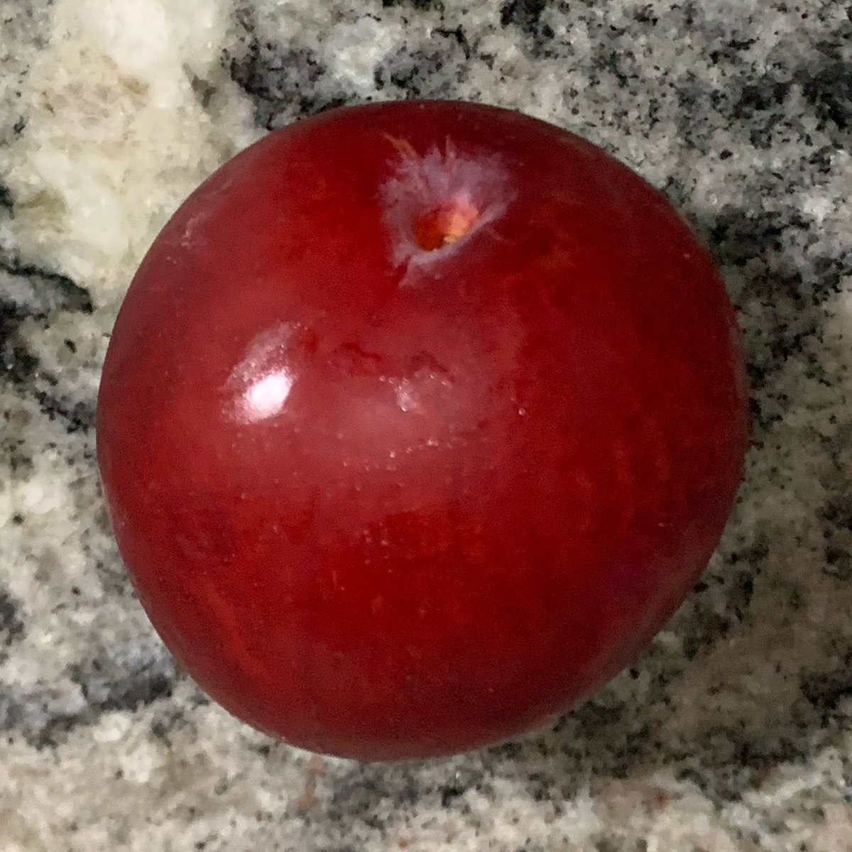 Ameixa preta from Pão de Açúcar