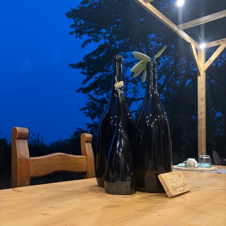 photo of Officine Vegetali Home Restaurant Primi e secondo shared by @perlemammemucche on  18 Aug 2025 - review