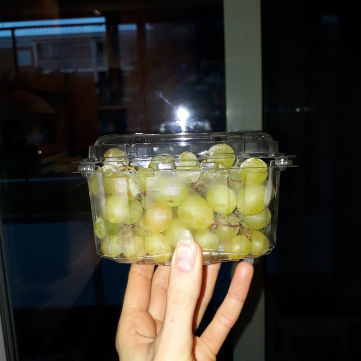 photo of Moyca Cotton candy grapes shared by @adropoceanic on  09 Oct 2025 - review